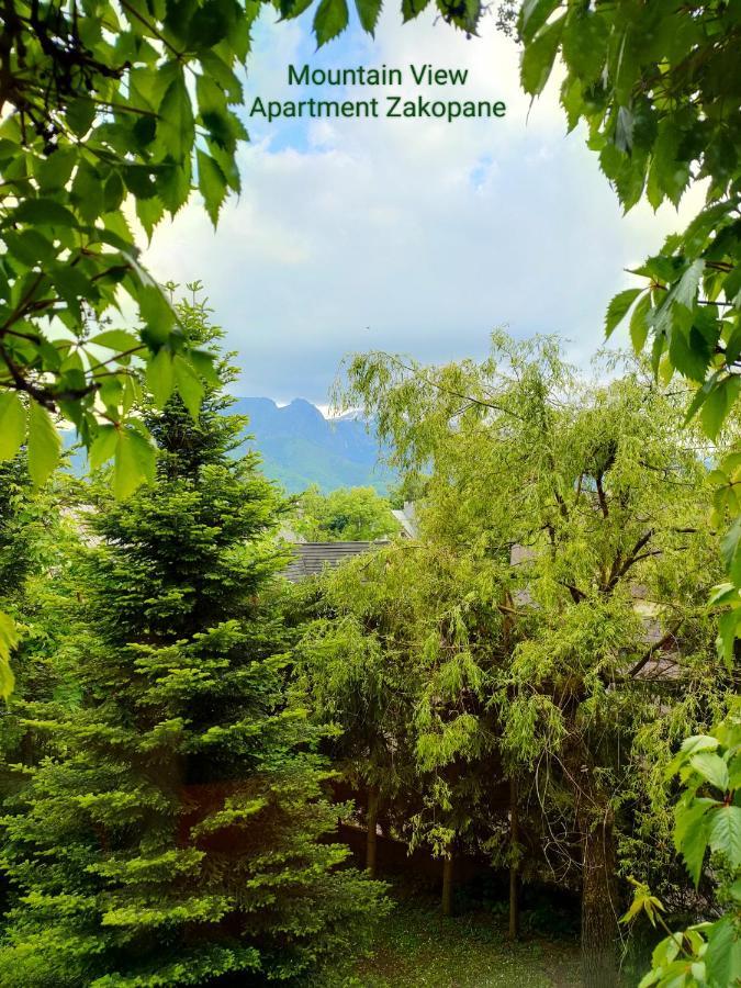 Mountain View Apartment Закопане Екстер'єр фото