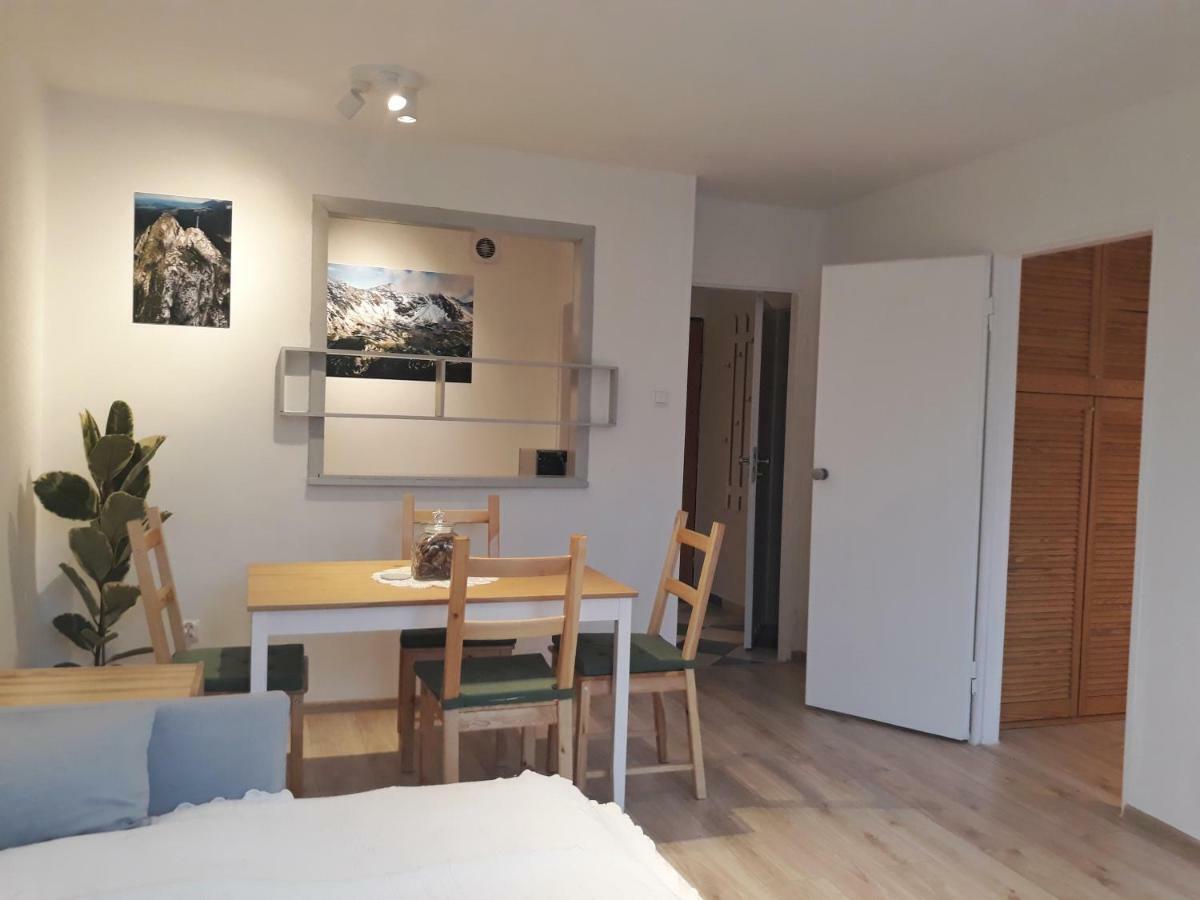 Mountain View Apartment Закопане Екстер'єр фото