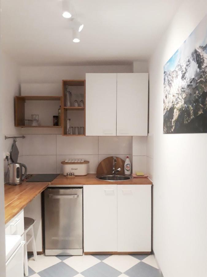 Mountain View Apartment Закопане Екстер'єр фото