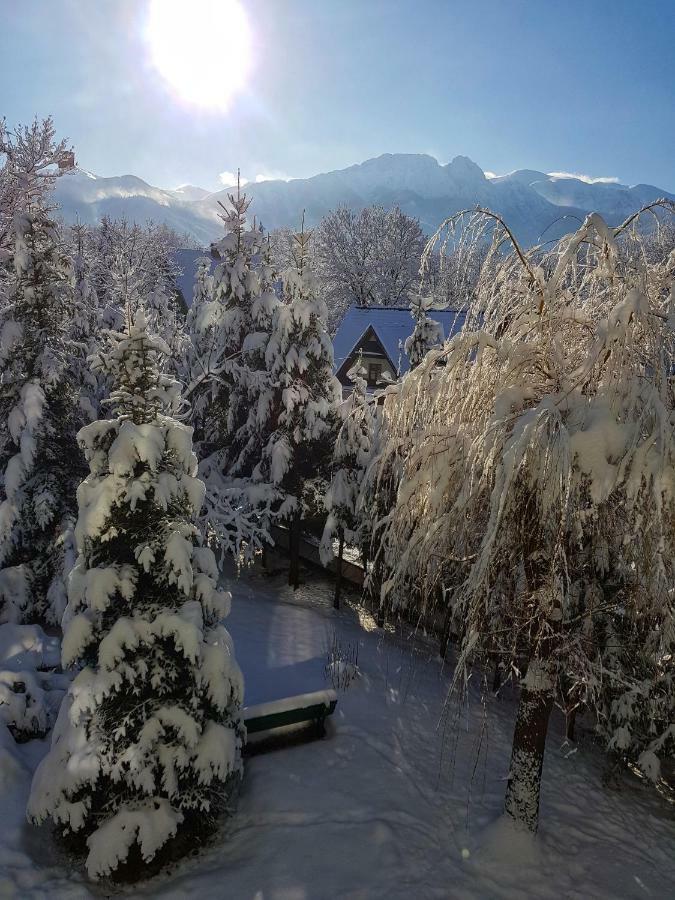 Mountain View Apartment Закопане Екстер'єр фото