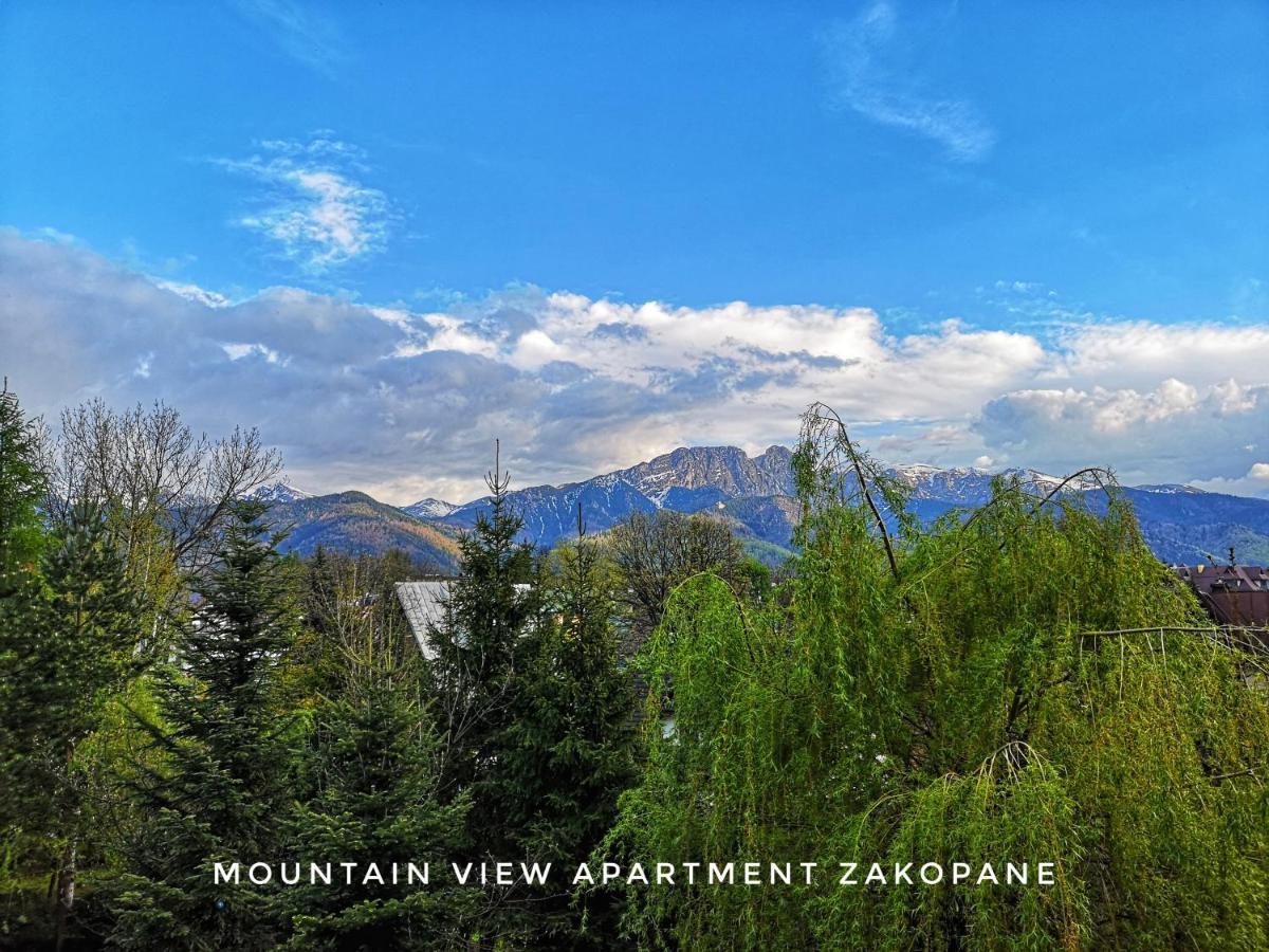 Mountain View Apartment Закопане Екстер'єр фото
