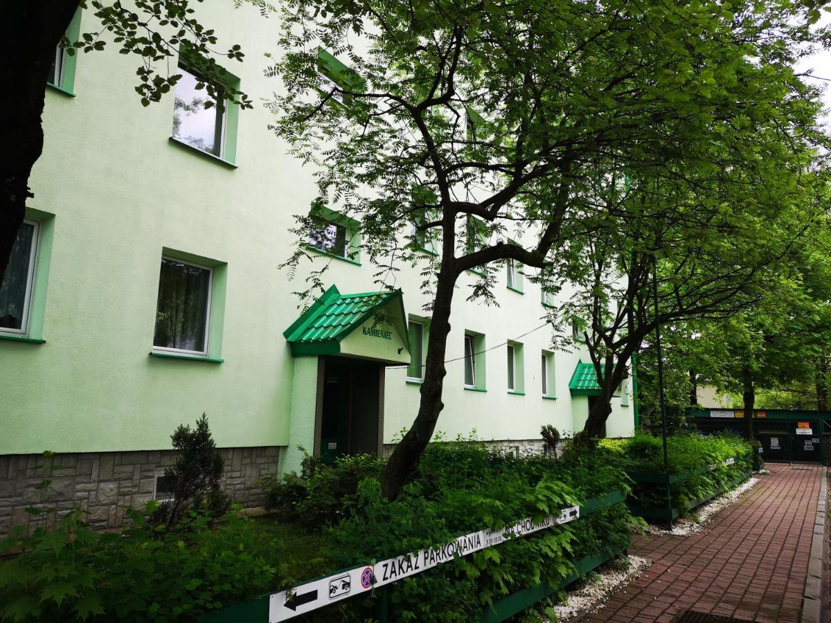 Mountain View Apartment Закопане Екстер'єр фото